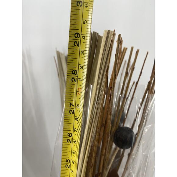 4 Bundles Long Stem Natural DRIED Twigs Berries Crafts Bouquets Arrangements - Picture 5 of 10